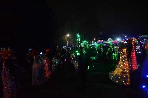 DSC 5353