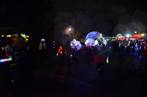 DSC 5447